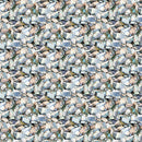 Canoe Lake DP29234-94 Rocks Gray Multi by Iosif Derecichei for Northcott