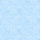 Canvas Flannel F9030-42 Sky by Deborah Edwards for Northcott.