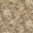 Chroma 9060-14 Flax by Deborah Edwards for Northcott