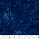 Chroma 9060-49 Midnight by Deborah Edwards for Northcott