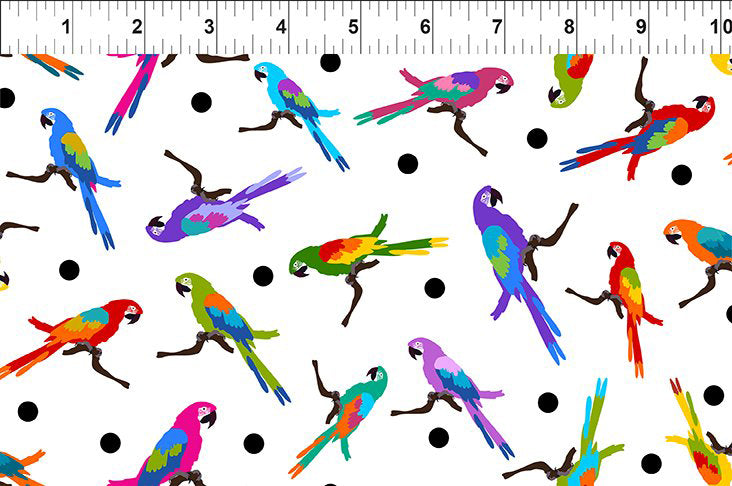 Colorful 3COL-1 Multi by Jason Yenter for In The Beginning Fabrics