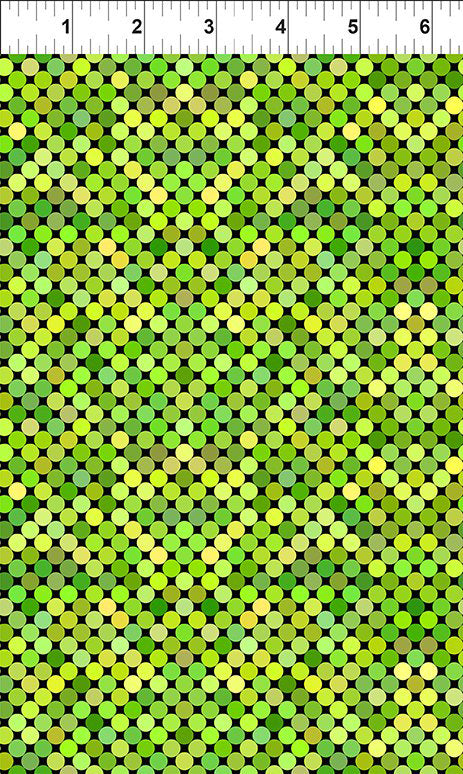 Colorful 6COL-4 Lime by Jason Yenter for In The Beginning Fabrics