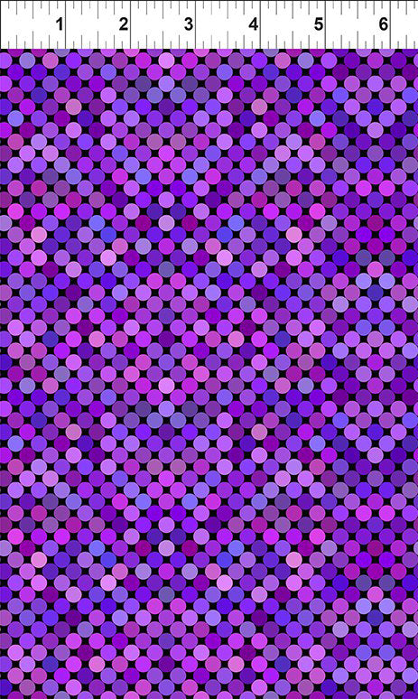 Colorful 6COL-8 Purple by Jason Yenter for In The Beginning Fabrics