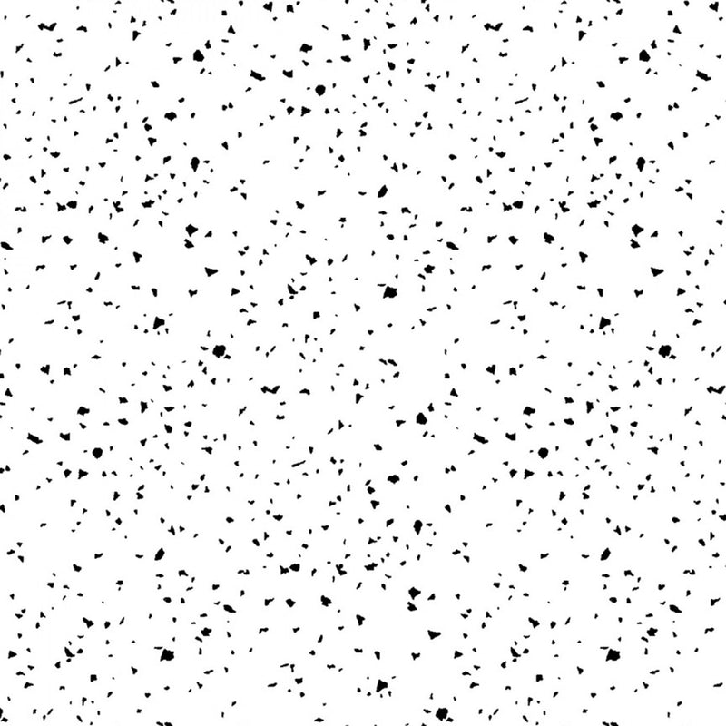 Confetti RJ1410-BW6 Black on White RJR Fabrics