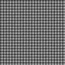 Cozy Up Flannel F25280-91 Pale Gray Black Buffalo Check Small by Deborah Edwards for Northcott