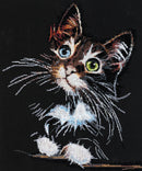 Cross Stitch Kit - Fluffy Kitten