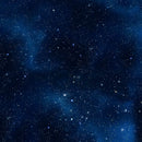Dancing Lights DP29398-49 Stars Midnight by Northcott Studio for Northcott