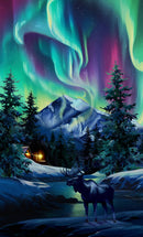 Dancing Lights Panel DP29390-49 Aurora Panel Midnight Multi by Northcott Studio for Northcott