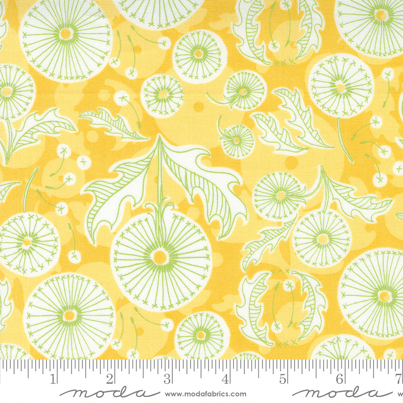 Dandi Duo 48751-12 Maize by Robin Pickens for Moda