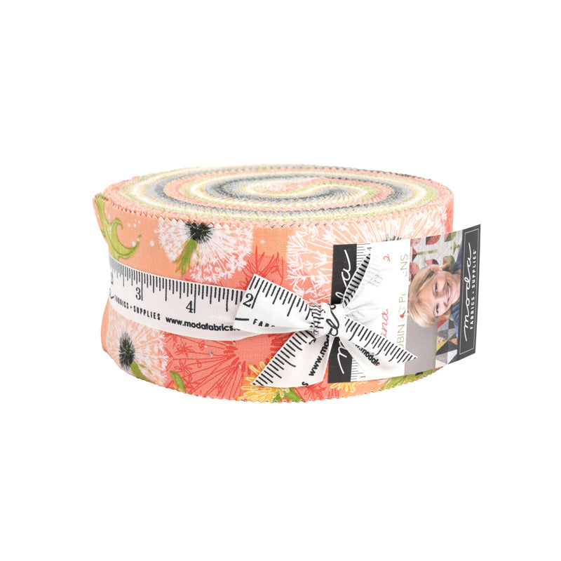 Dandi Duo Jelly Roll 48750JR by Robin Pickens for Moda