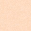 Dapple 10000-13 Alabaster by Patrick Lose Fabrics