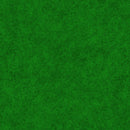 Dapple 10000-72 Kelly by Patrick Lose Fabrics