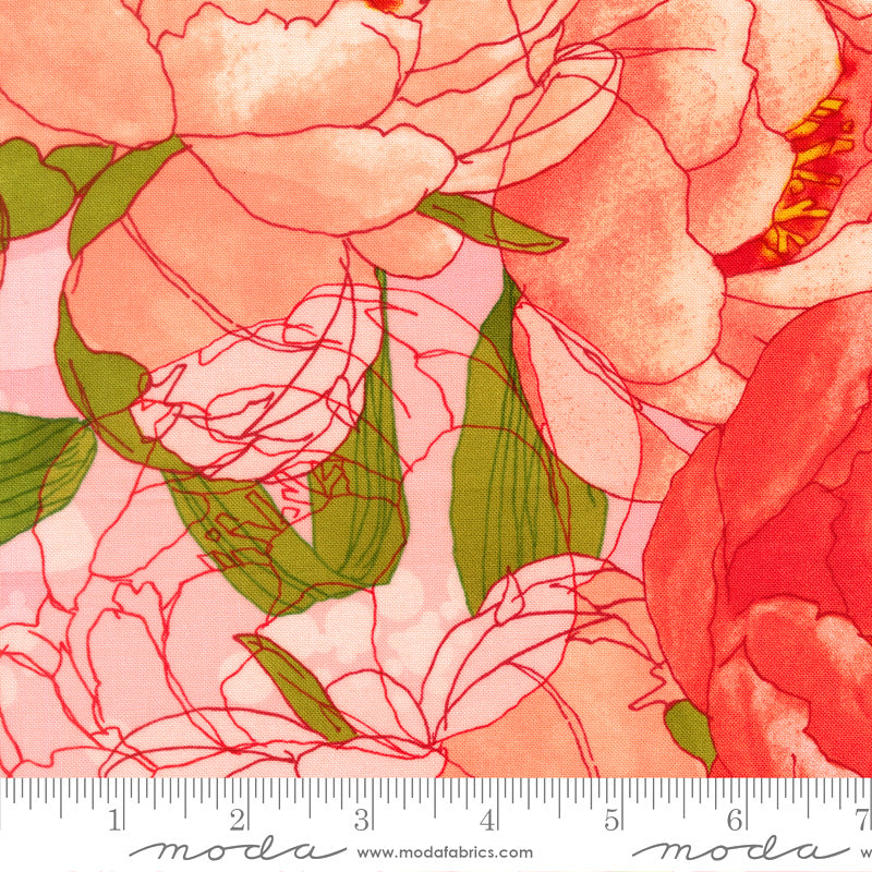Darling Peony 48790-13 Cotton Candy Peonies Large by Robin Pickens for Moda
