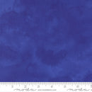 Delphinium 24660-14 Agapanthus Shaded by Janet Clare for Moda