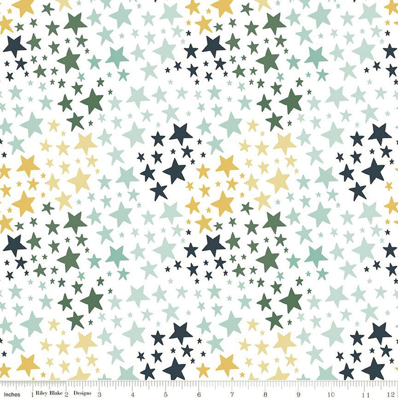 It's A Boy Flannel F13904-WHITE Stars by Echo Park Paper Co. for Riley Blake Designs