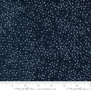 Dotty Thatched 48715-152 Soft Black by Robin Pickens for Moda