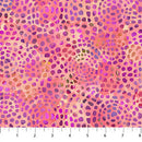 Dragonfly Dreams DP24832-53 Peach Multi Circular Texture by Deborah Edwards for Northcott