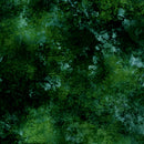 Earthscapes 29716-F by Dan Morris for Quilting Treasures