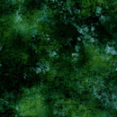 Earthscapes 29716-F by Dan Morris for Quilting Treasures