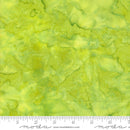 Echo Batiks 4369-24 Lime by Moda