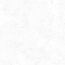 Essentials Crackle 1077 89162 100 White on White by Danhui Nai for Wilmington Prints