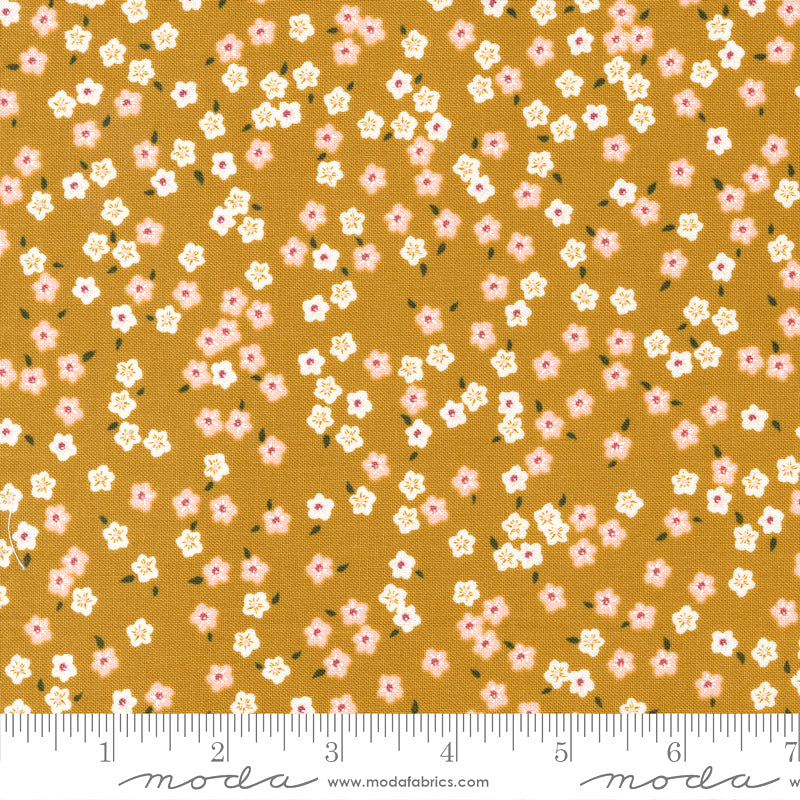 Evermore 43154-13 Honey by Sweetfire Road for Moda