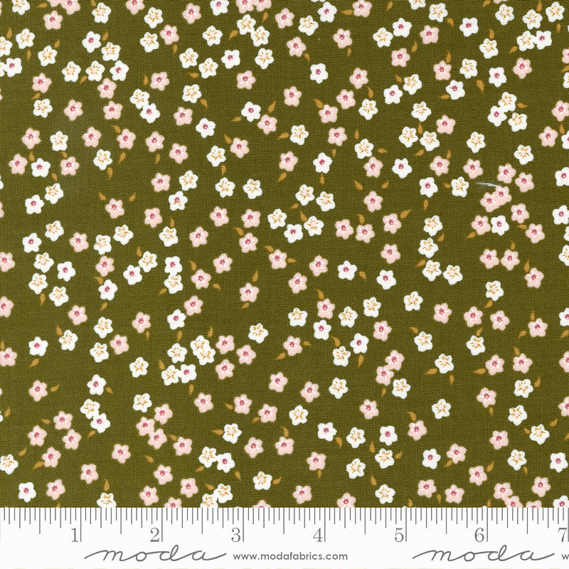 Evermore 43154-14 Fern by Sweetfire Road for Moda