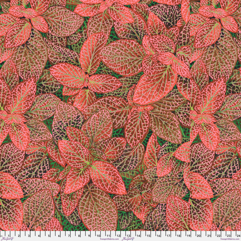 Fittonia PWPJ129.RED by Philip Jacobs for FreeSpirit