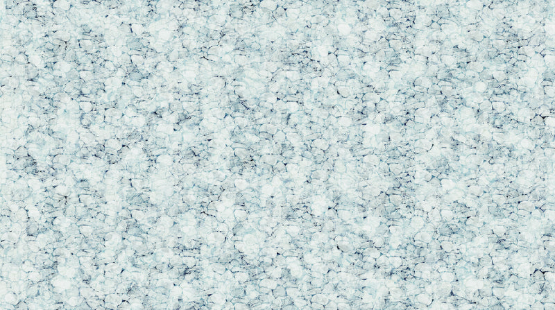 Fox Den DP28336-42 Lt Blue by Deborah Edwards and Melanie Samra for Northcott.
