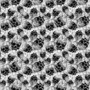 Frightful 10321-10 White Scattered Skulls by Patrick Lose Fabrics