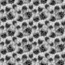 Frightful 10321-10 White Scattered Skulls by Patrick Lose Fabrics