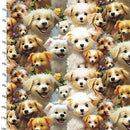 Fur-Ever Friends 22970-MLT-CTN-D Playful Pups by Momart for 3 Wishes Fabric