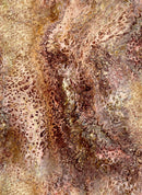 Fusion 27607-A Brown Splash by Ocllo Mason for QT Fabrics