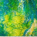 Fusion 27607-G Green Splash by Ocllo Mason for QT Fabrics