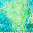 Fusion 27607-H Mint Splash by Ocllo Mason for QT Fabrics