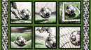 Goalbound Panel 4759B-66 Green Soccer Blocks by Urban Essence Designs for Blank Quilting Corp.