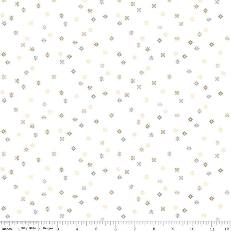 Hush Hush 5 C16942-STARS Quilty Stars by Amber Johnson for Riley Blake Designs