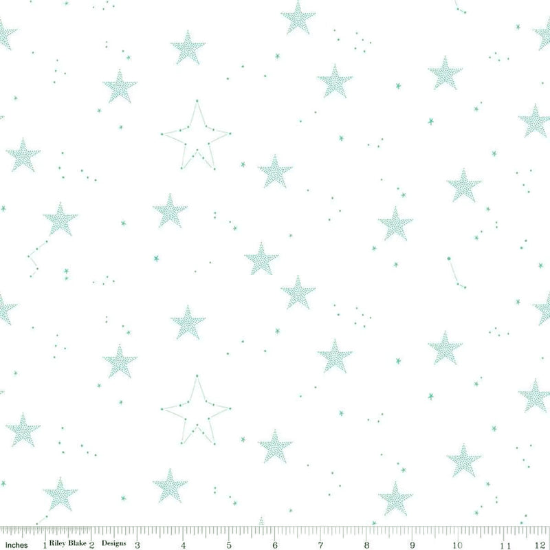 Hush Hush 5 C16957-STARS Wish Upon a Star by Sarah Jane for Riley Blake Designs