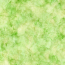 Infatuation DP28618-74 by Deborah Edwards and Melanie Samra for Northcott