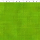 Interwoven 1WVN-13 Spring Grass by Jason Yenter for In The Beginning Fabrics.