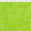 Interwoven 1WVN-12 Lime by Jason Yenter for In The Beginning Fabrics.