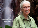 Cherrywood Hand Dyed Fabric 2027 Challenge - Jane Goodall Half Yard Bundle