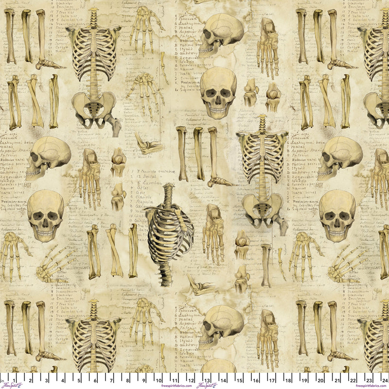 Laboratory Canvas CCTH011.NEUTRAL Anatomy Canvas by Tim Holtz for FreeSpirit