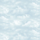 Lakeside Retreat DP28488-42 Blue Clouds by Deborah Edwards Northcott Studio for Northcott