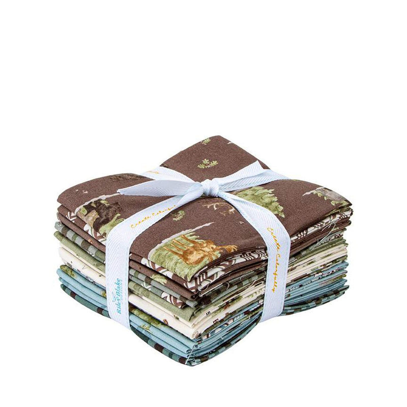 Let's Get Lost in the Woods Fat Quarter Bundle FQ-15120-15 by Tara Reed for Riley Blake Designs