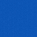 Little Explorers 10276-45 Blue Twinkle by Patrick Lose Fabrics