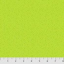 Mixmasters Mashup 10002-71 Spring Boomerangs by Patrick Lose Fabrics