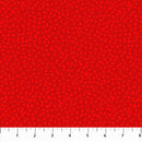 Mixmasters Mashup 10006-24 Holiday Confetti by Patrick Lose Fabrics