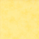 On Lake Time 56127-16 Daisy by Deb Strain for Moda.