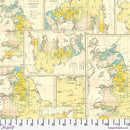 Palette PWTH243.YELLOW Yellow Map by Tim Holtz for FreeSpirit